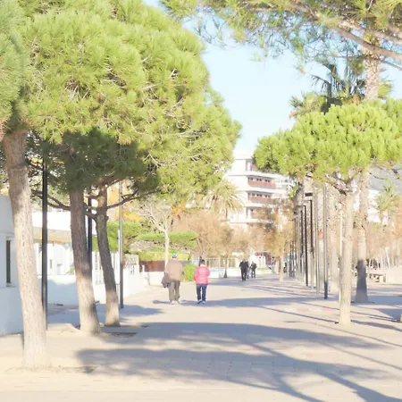 Appartamento Center 04 *
